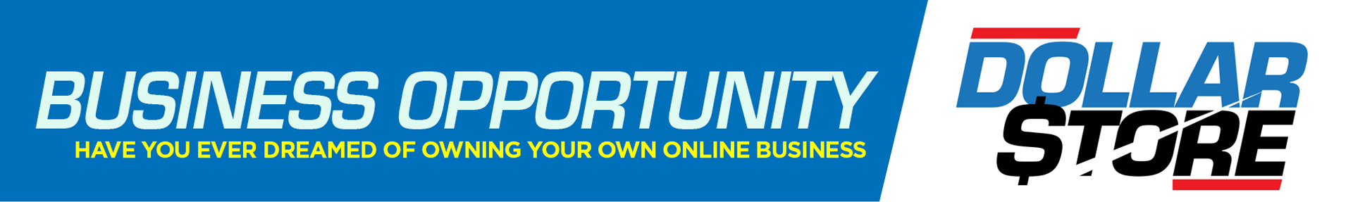 DollarStore Business Opportunity